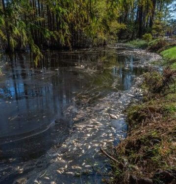 Flooding Broke Open Jackson’s Water Crisis, but It Can’t Be Disentangled From Race, Experts Say