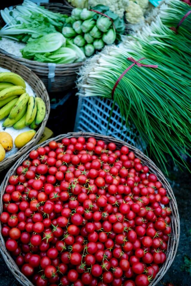 Building a more equitable food system in South Texas: University of Texas Rio Grande Valley helps the region realize the fruits of its labor